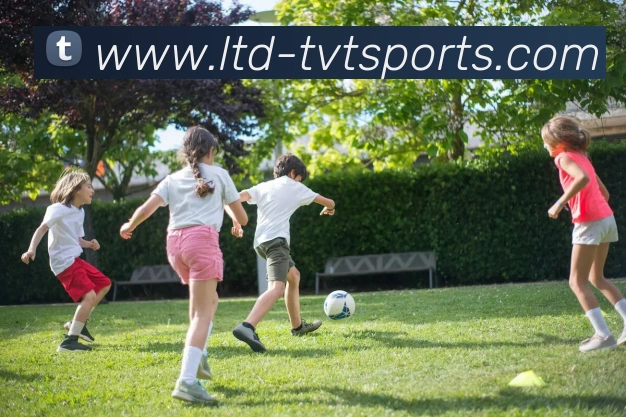 体育下注平台生态图