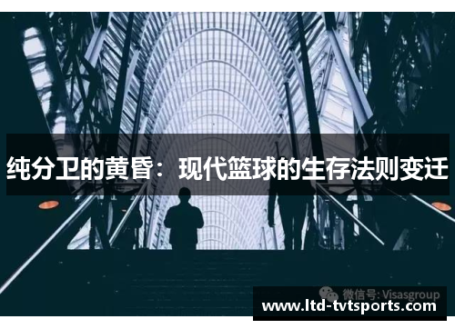 纯分卫的黄昏：现代篮球的生存法则变迁